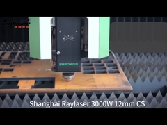 IPG CNC Sheet Metal Enclosed Laser Cutting Machine With Raytools Laser Head